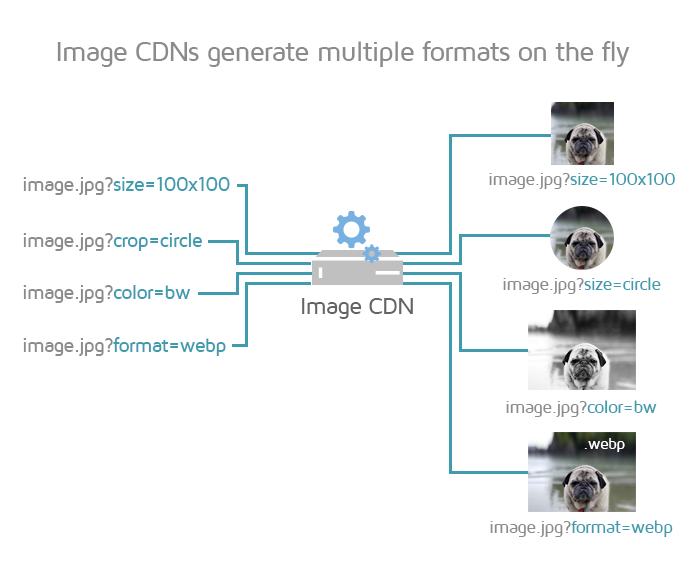 Image CDNs process images on the fly