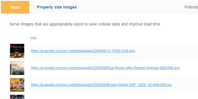 Expanded view of Properly size images audit