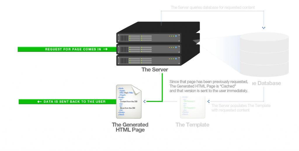 Database query error. Сервер Сайд. Страничный кэш. Server list. Server Side rendering scheme.