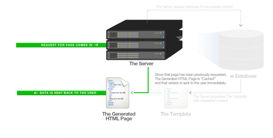Why is my page slow? - GTmetrix