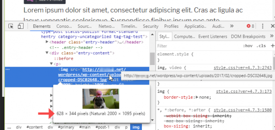 How to Optimize Images: A Practical Guide | GTmetrix