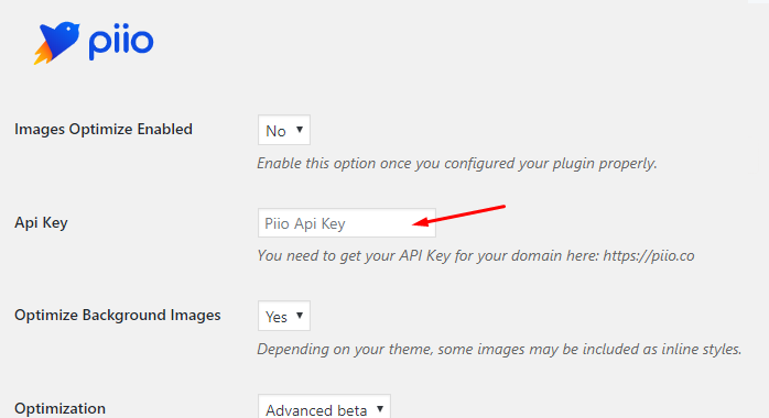 piio paste api key