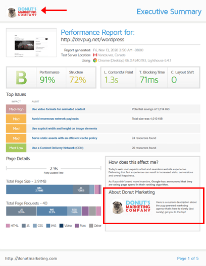 GTmetrix PRO Features