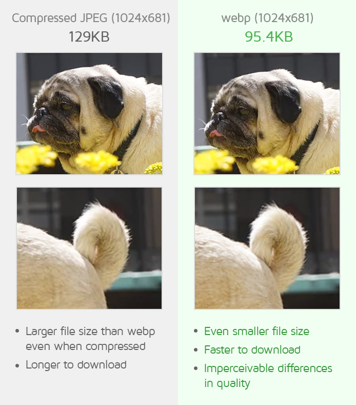 GTmetrix on X: 🤯 It's not advisable to serve 46MB worth of uncompressed  images like this page we recently found! Large files directly correlate  with long page load times and potentially higher