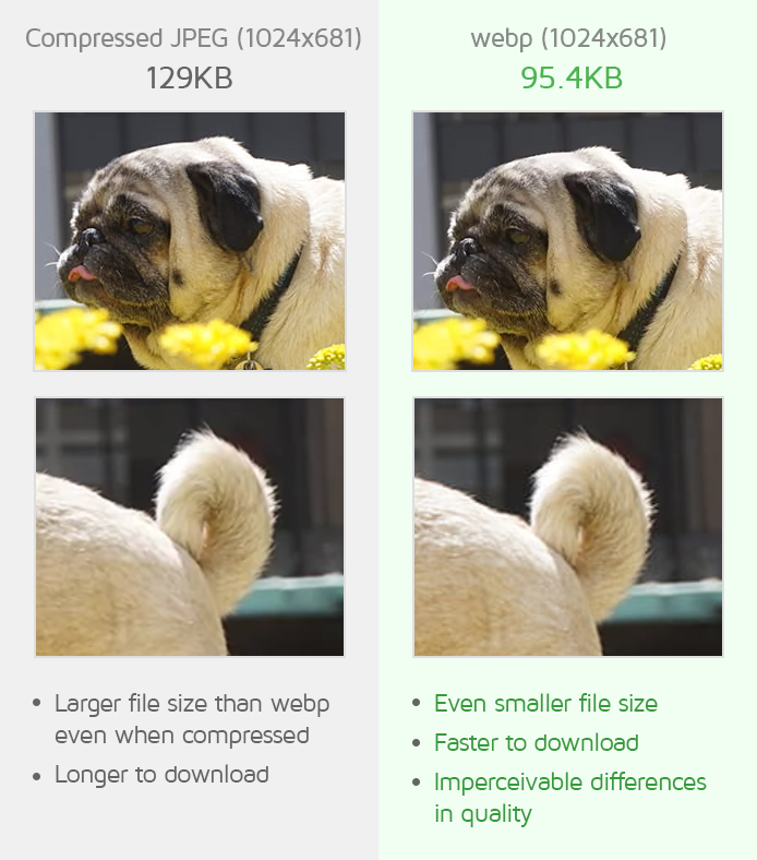 Differences between JPEG and WebP