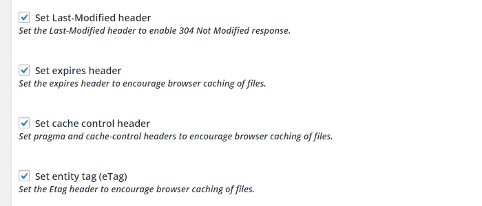 W3 Total Cache: Enable Browser Cache Options