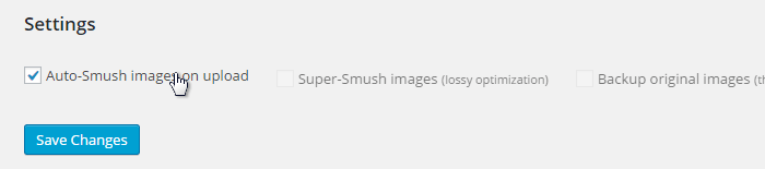 WP-Smush Auto Smushing